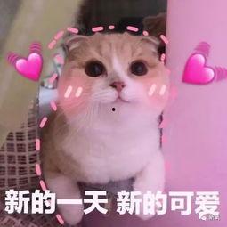 羊了羊娱乐吃瓜,揭秘娱乐圈吃瓜背后的真相 第2张 羊了羊娱乐吃瓜,揭秘娱乐圈吃瓜背后的真相 第2张