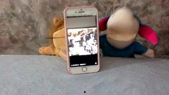 娱乐吃瓜酱手机,揭秘娱乐圈幕后故事，带你领略明星生活点滴  第1张