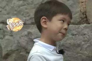 娱乐圈的吃瓜小编是谁啊  第3张