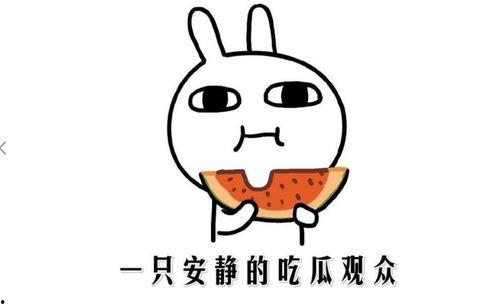 吃瓜事件是什么意思,网络舆论场中的热点追踪与反思  第2张