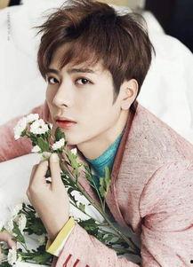 娱乐吃瓜君王嘉尔小说  第2张