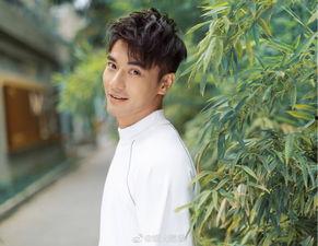 娱乐圈吃瓜基本是真的,真相与谣言的交织  第3张